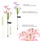 Edge Collections – Solar Garden Lily Flower LED Pathway Stake Lights with 7-Color Changing (IP65) – 2 Pieces